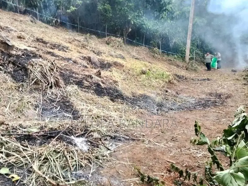 Valuable Residential Land for Sale in Haloluwa, Kandy