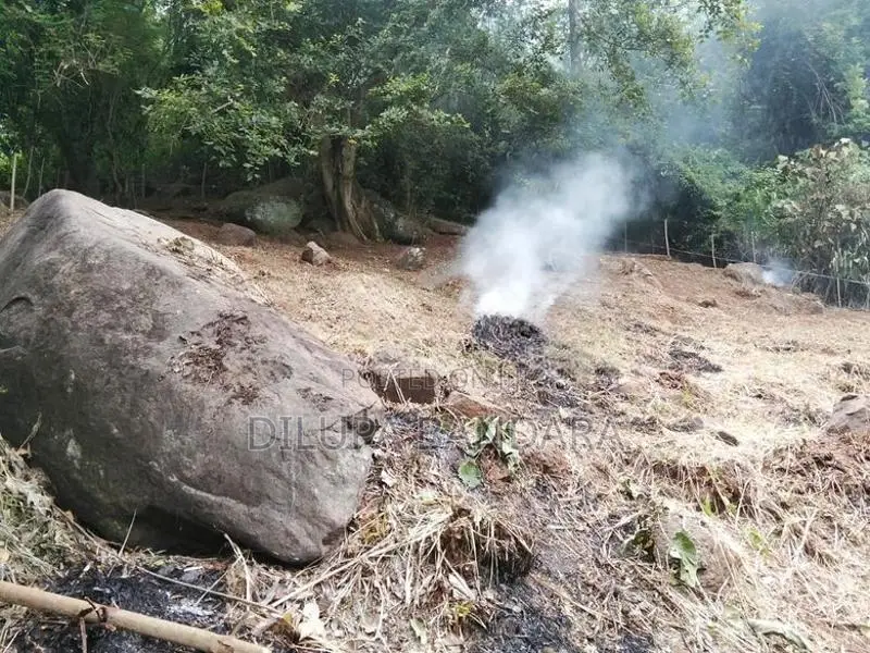 Valuable Residential Land for Sale in Haloluwa, Kandy