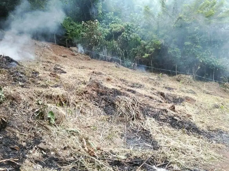 Valuable Residential Land for Sale in Haloluwa, Kandy