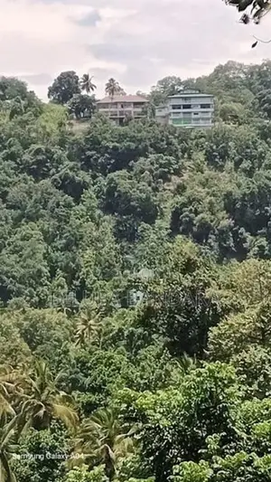 Valuable Residential Land for Sale in Haloluwa, Kandy