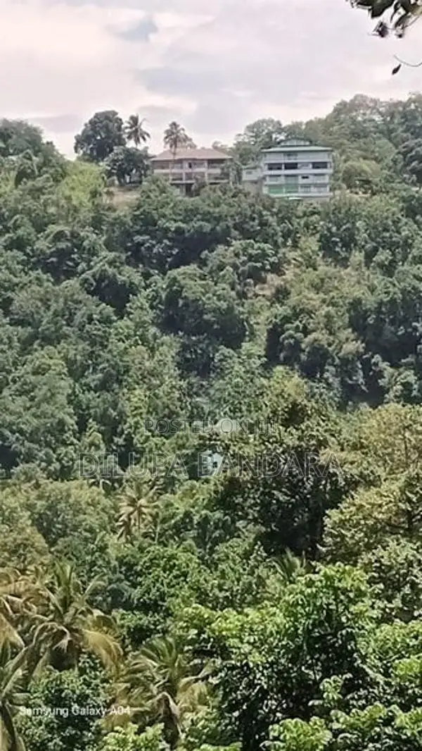 Valuable Residential Land for Sale in Haloluwa, Kandy