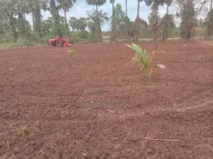 தோட்ட காணி விற்பனைக்காக