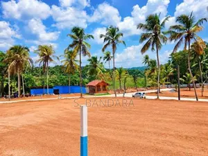 Attanagalla Valuable Land for Sale ( S )