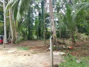 Valuable Land for Sale in Bentota