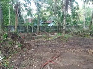Valuable Land for Sale in Bentota