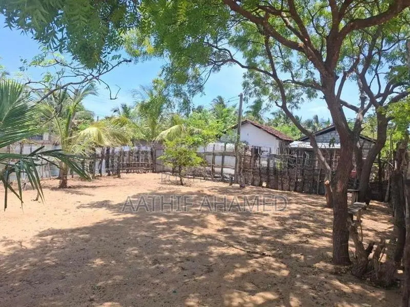 Land For Sale Akkarepattu