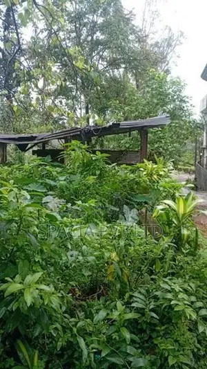 Land for Sale in Fruit Hill, Hatton