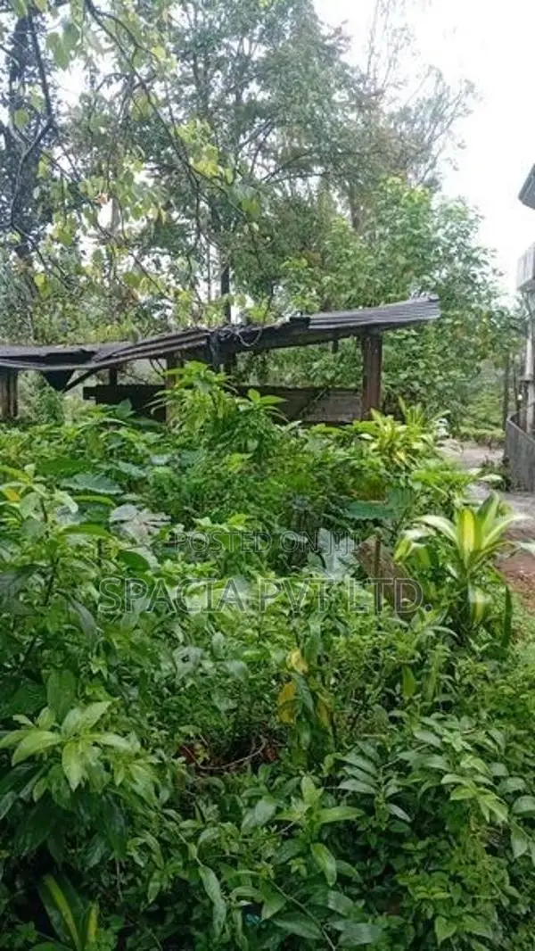 Land for Sale in Fruit Hill, Hatton