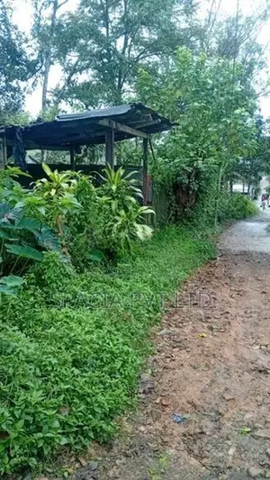 Land for Sale in Fruit Hill, Hatton
