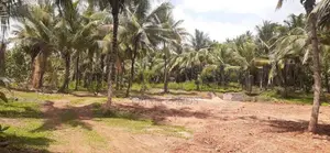 කුරුණෑගල නගරයෙන් නේවාසික බිම් කොටස්