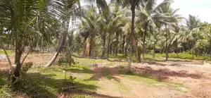 කුරුණෑගල නගරයෙන් නේවාසික බිම් කොටස්