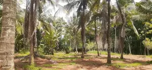 කුරුණෑගල නගරයෙන් නේවාසික බිම් කොටස්