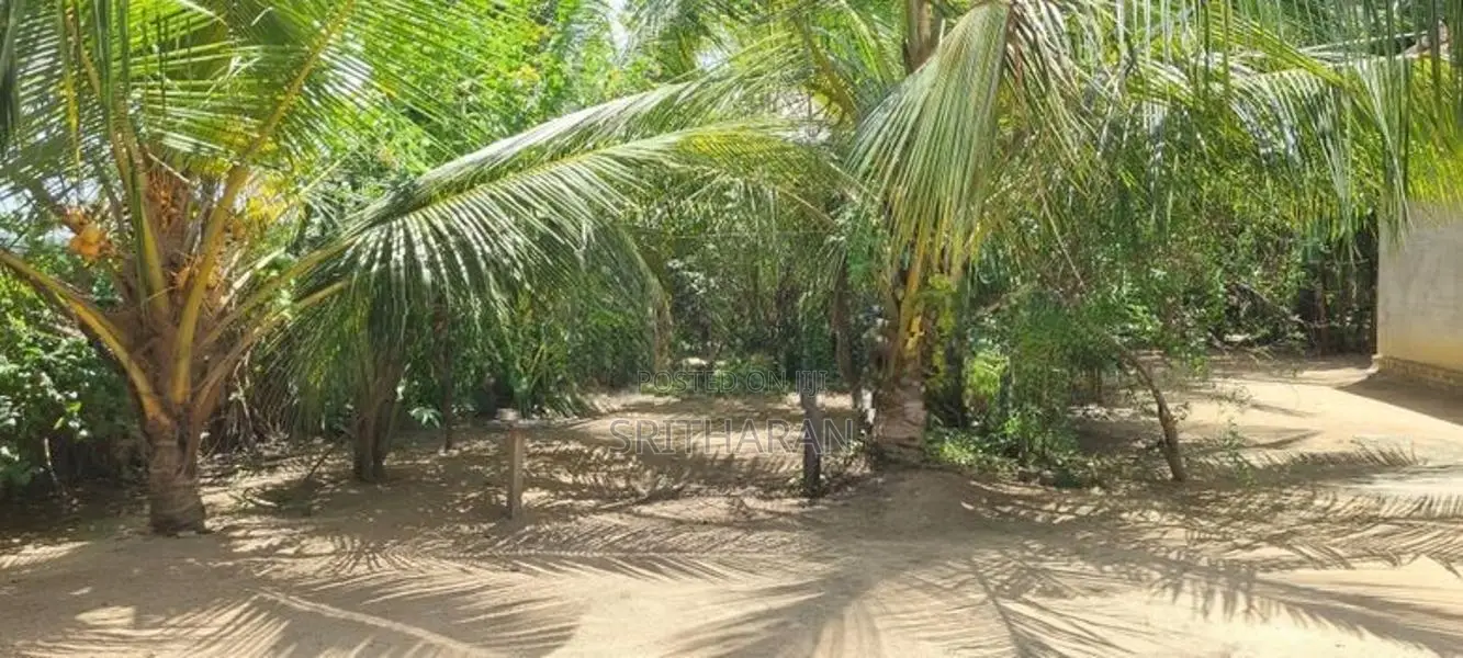 House For Sale Kokkaddicholai In Batticaloa
