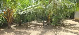 House For Sale Kokkaddicholai In Batticaloa