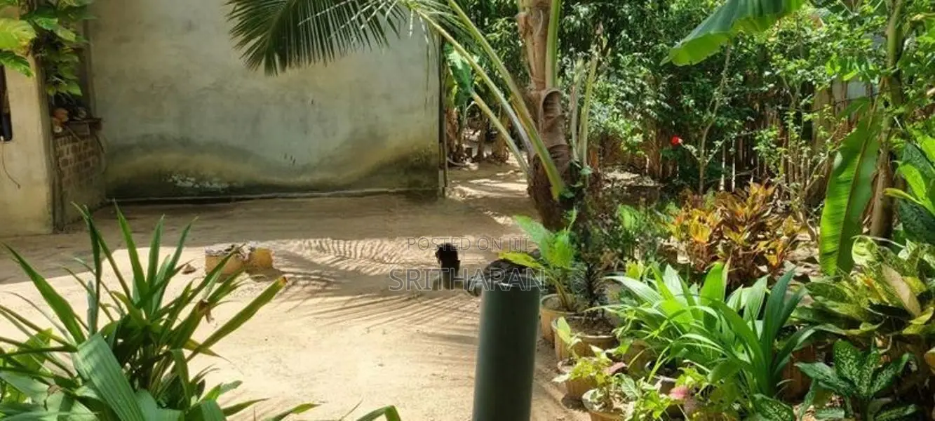 House For Sale Kokkaddicholai In Batticaloa