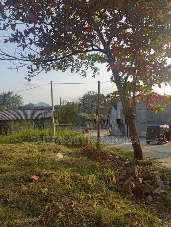 Land for Sale Monaragala
