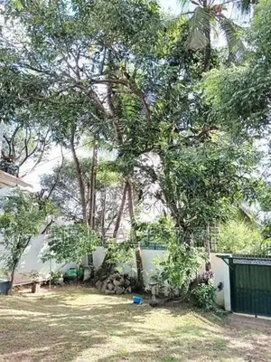 7.50 Perches Residential Bare Land for Sale Boralasgamuwa