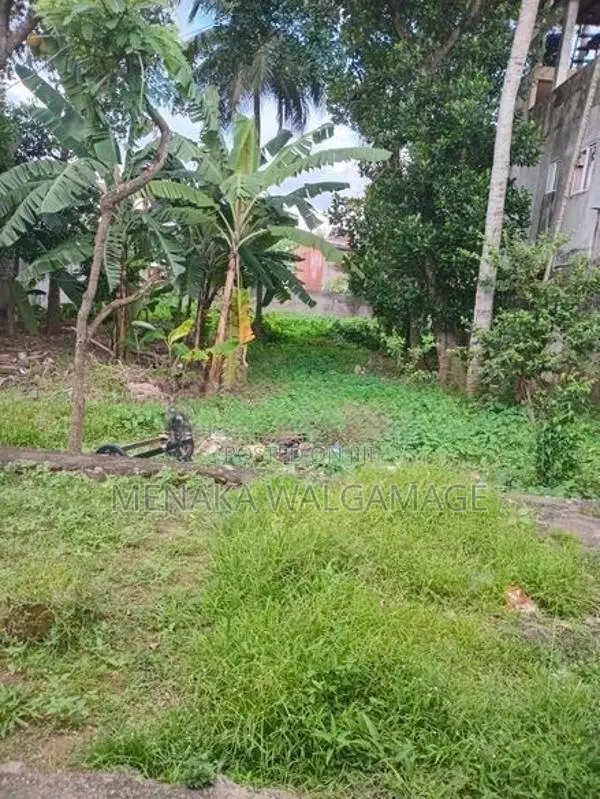 Land for Sale in Wellampitiya