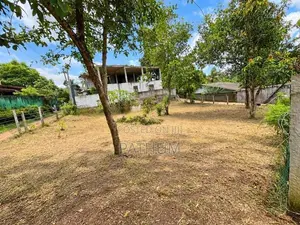 Land for Sale in Hokandara (Vidyala Junction) – 18.75 Perches