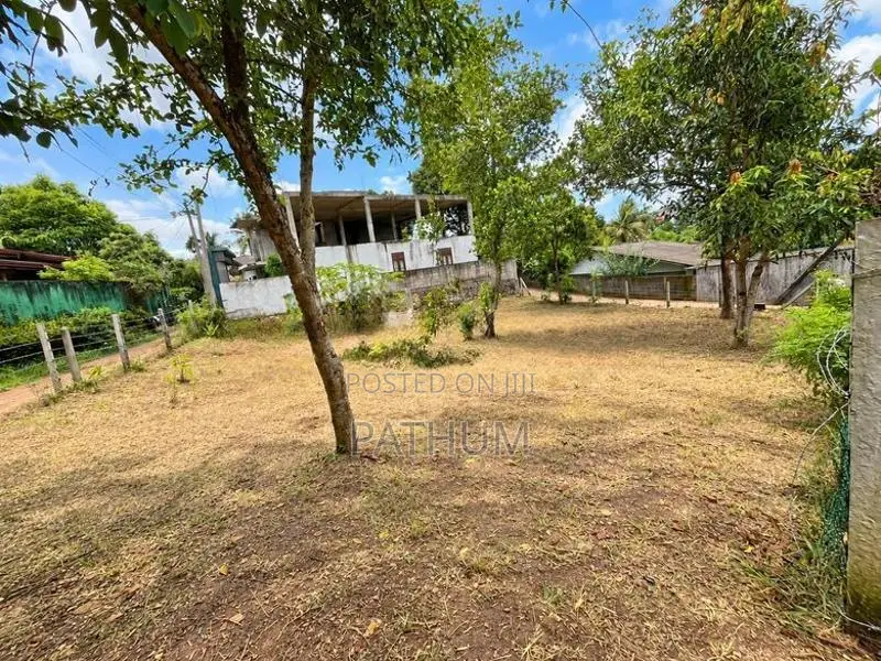 Land for Sale in Hokandara (Vidyala Junction) – 18.75 Perches