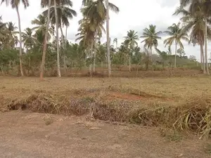නාරම්මල නේවාසික බිම් කොටස්
