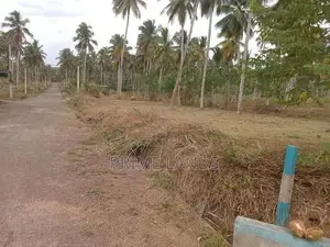 නාරම්මල නේවාසික බිම් කොටස්