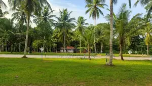 ගම්පහ මරදගහාමුල 982 බස් පාරට යාබදව බිම් කොටස් විකිණීමට