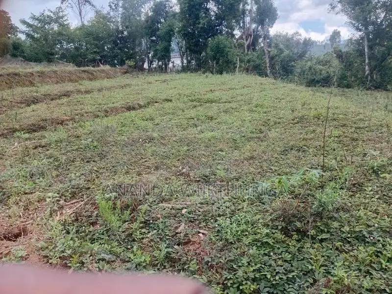 Welimada ඉඩමක් විකිණීමට