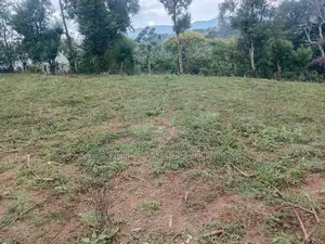 Welimada ඉඩමක් විකිණීමට