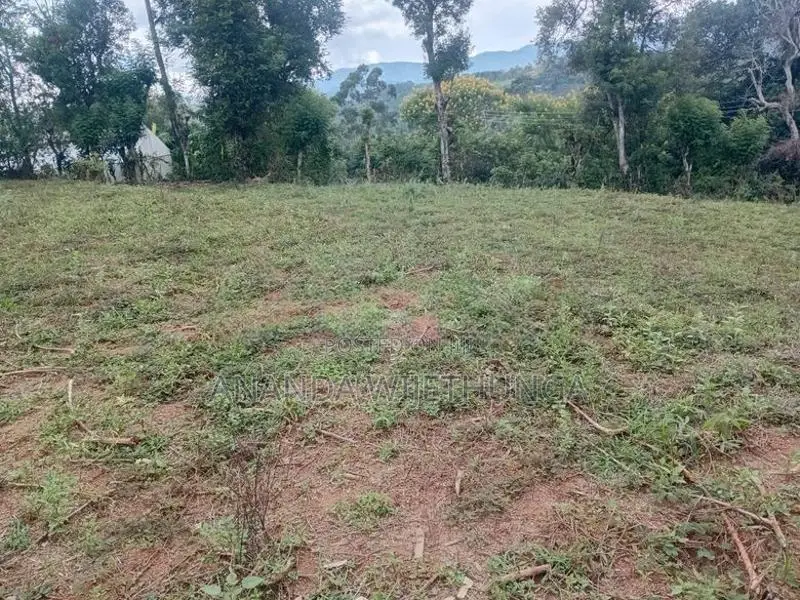 Welimada ඉඩමක් විකිණීමට