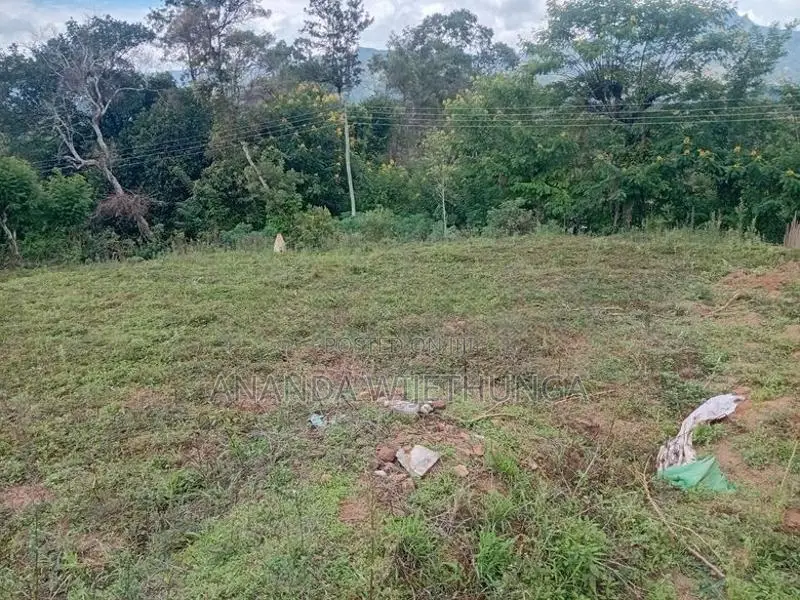 Welimada ඉඩමක් විකිණීමට