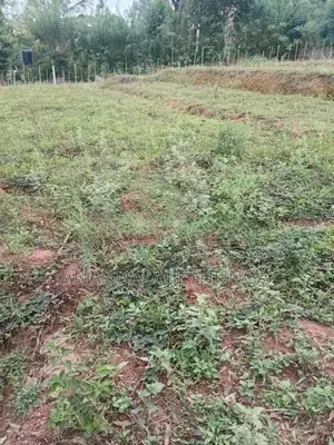 Welimada ඉඩමක් විකිණීමට