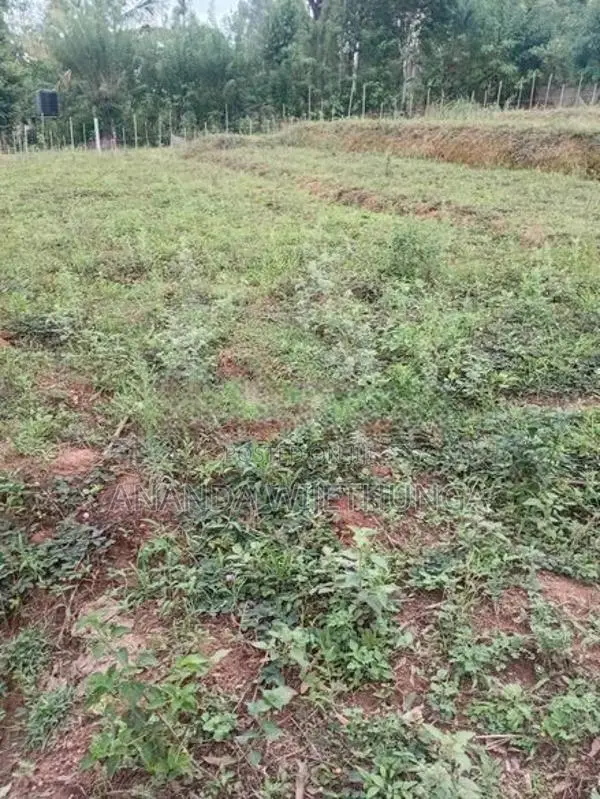 Welimada ඉඩමක් විකිණීමට