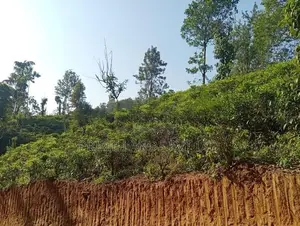 Land Sale in Hadeniya