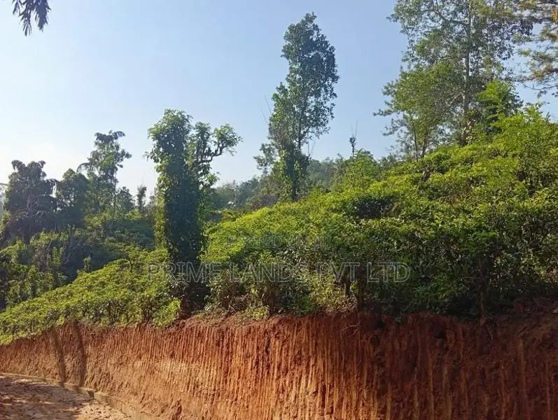 Land Sale in Hadeniya
