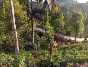 Land Sale in Hadeniya