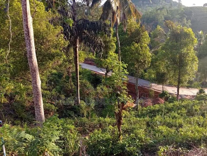Land Sale in Hadeniya
