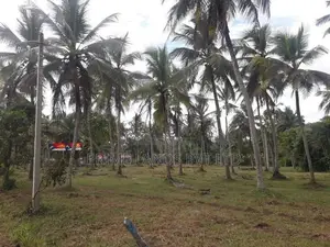 කුලියාපිටිය බොවත්ත ප්‍රධාන පාරෙන් ඉඩමක් විකිණීමට