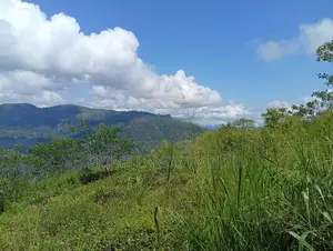 Beautiful Land Sale in Pudaluoya