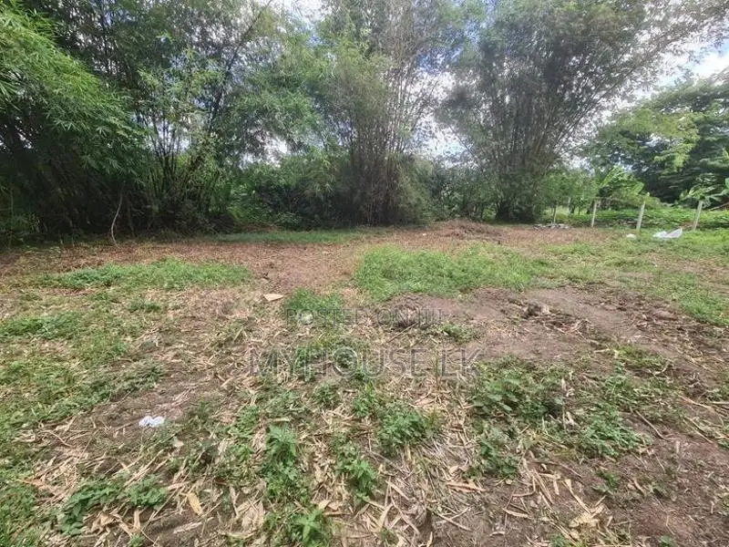 Commercial Land for Sale in Malabe