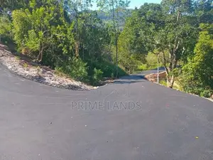 valuable land for Sale in Nillamba