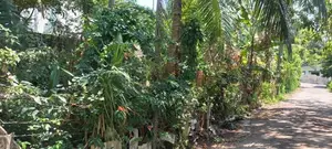 Residential Land for Sale in Navinna