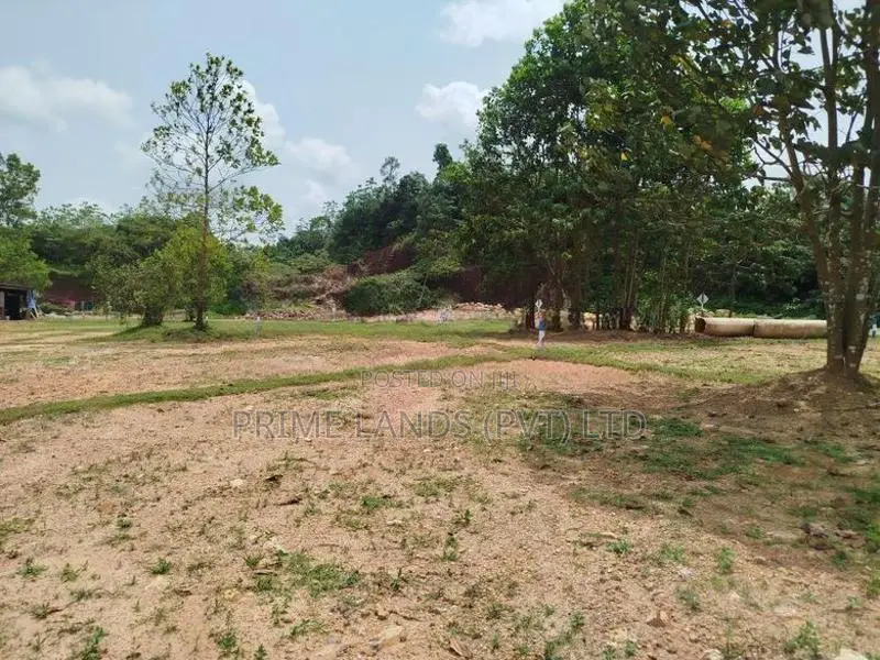 හෝමාගම බෙරුකැටිය බිම් කොටස් විකිණීමට
