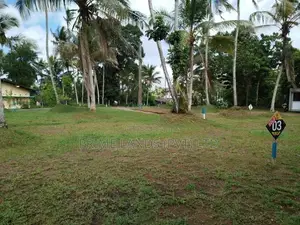අතුරුගිරිය බොරලුගොඩ පාරෙන් බිම් කොටසක් විකිණීමට