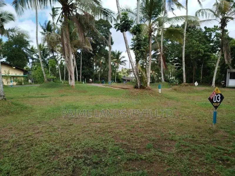 අතුරුගිරිය බොරලුගොඩ පාරෙන් බිම් කොටසක් විකිණීමට