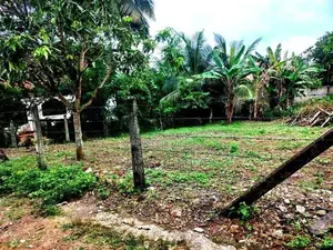 Land For Sale Piliyandala