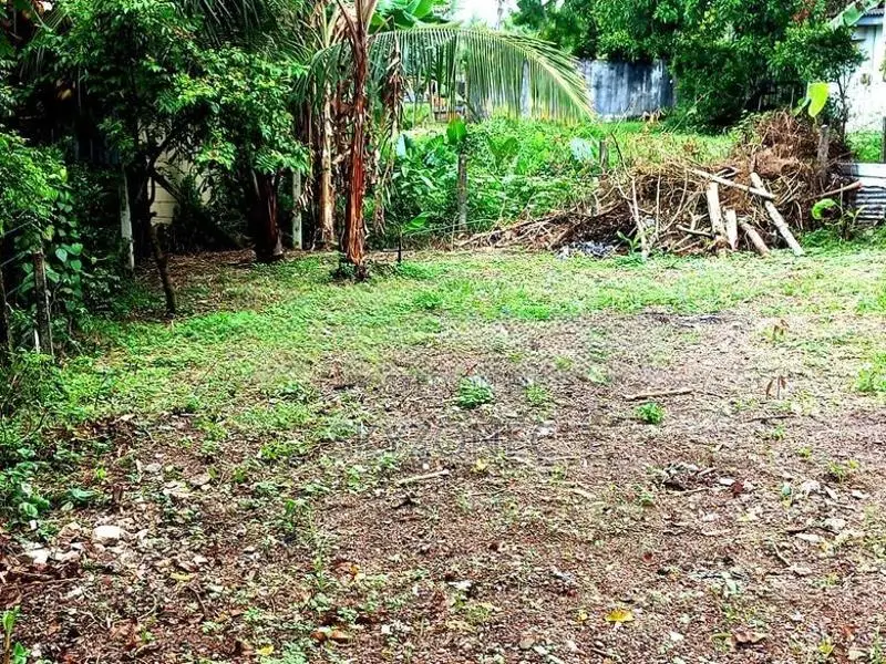 Land For Sale Piliyandala