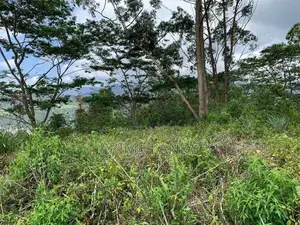 Land for Sale Pussellawa