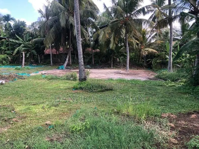 Pamunugama 38 Perch Land For Sale - Near The Lagoon In Bopitiya