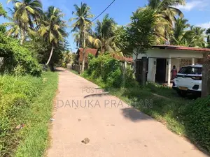 Pamunugama 38 Perch Land For Sale - Near The Lagoon In Bopitiya